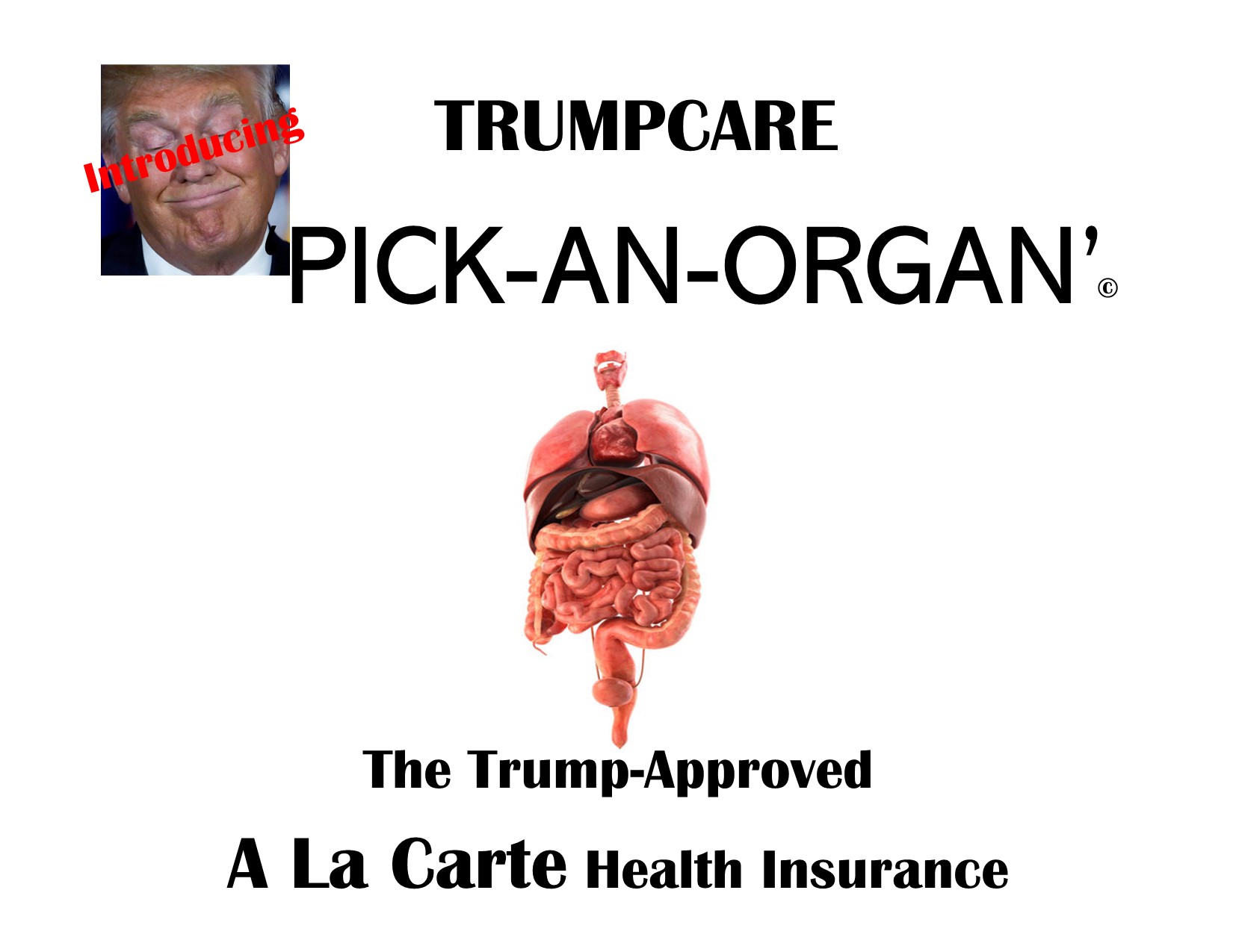 Breaking News: Trump HAS Been Working On A Health “Care” Plan: TrumpCare PICK-AN-ORGAN